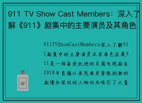 911 TV Show Cast Members：深入了解《911》剧集中的主要演员及其角色发展