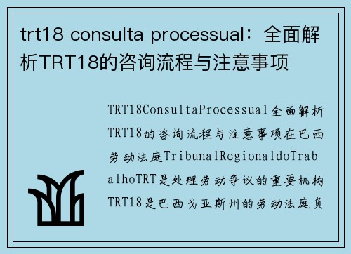 trt18 consulta processual：全面解析TRT18的咨询流程与注意事项